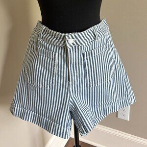 Loft Blue and White Stripe Shorts